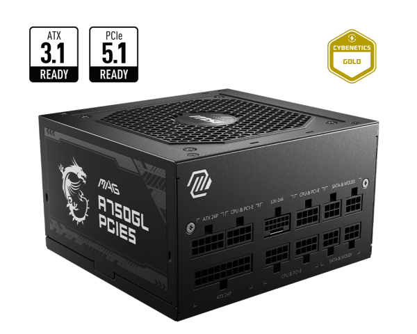 FUENTE MSI MAG A750GL 750W 80+ GOLD FULL MODULAR PCIE 5.0